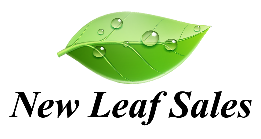 Green leaf with water droplets.